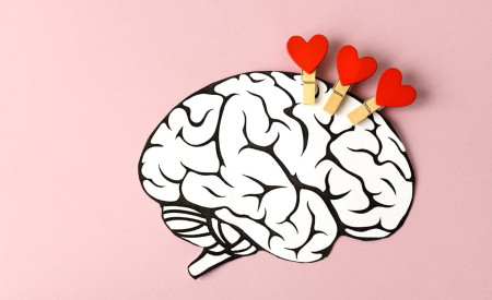 cerveau amoureux